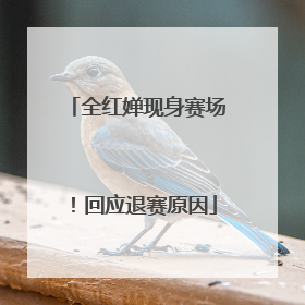 全红婵现身赛场！回应退赛原因