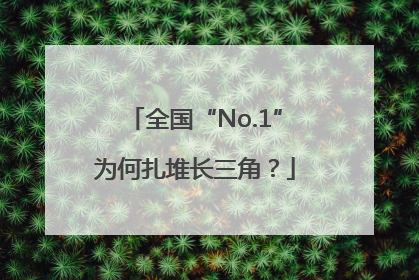 全国“No.1”为何扎堆长三角？