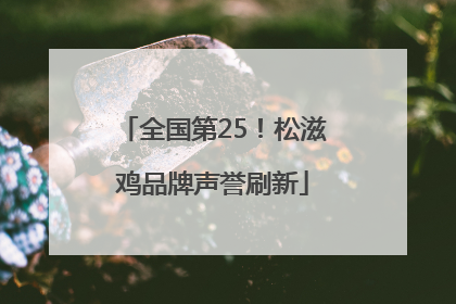 全国第25！松滋鸡品牌声誉刷新