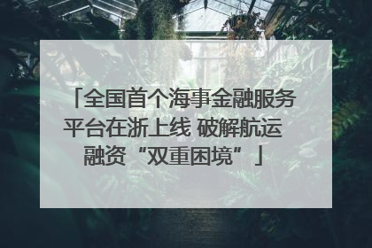 全国首个海事金融服务平台在浙上线 破解航运融资“双重困境”