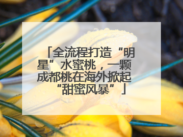 全流程打造“明星”水蜜桃，一颗成都桃在海外掀起“甜蜜风暴”