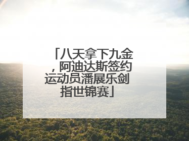 八天拿下九金，阿迪达斯签约运动员潘展乐剑指世锦赛
