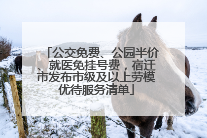 公交免费、公园半价、就医免挂号费，宿迁市发布市级及以上劳模优待服务清单