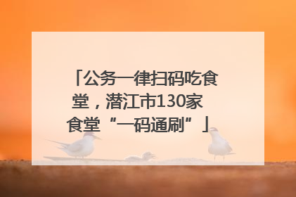 公务一律扫码吃食堂，潜江市130家食堂“一码通刷”