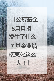 公募基金5月月报｜发生了什么？基金业绩榜变化这么大！