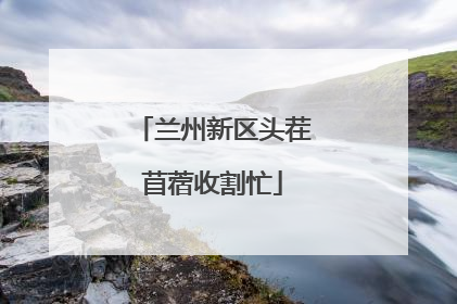 兰州新区头茬苜蓿收割忙