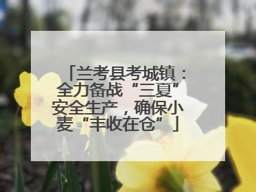 兰考县考城镇：全力备战“三夏”安全生产，确保小麦“丰收在仓”