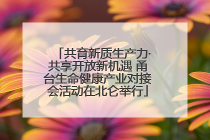 共育新质生产力·共享开放新机遇 甬台生命健康产业对接会活动在北仑举行