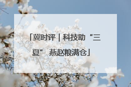 冀时评｜科技助“三夏” 燕赵粮满仓