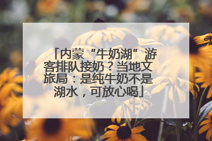 内蒙“牛奶湖”游客排队接奶？当地文旅局：是纯牛奶不是湖水，可放心喝