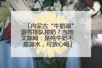 内蒙古“牛奶湖”游客排队接奶？当地文旅局：是纯牛奶不是湖水，可放心喝