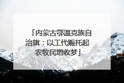 内蒙古鄂温克族自治旗：以工代赈托起农牧民增收梦