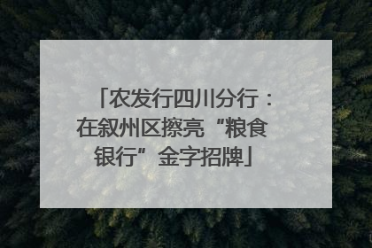 农发行四川分行：在叙州区擦亮“粮食银行”金字招牌