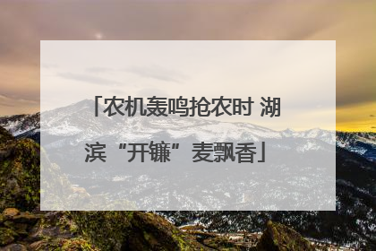 农机轰鸣抢农时 湖滨“开镰”麦飘香