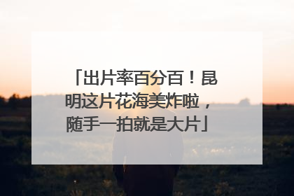 出片率百分百！昆明这片花海美炸啦，随手一拍就是大片