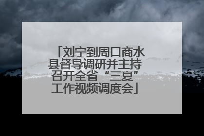 刘宁到周口商水县督导调研并主持召开全省“三夏”工作视频调度会