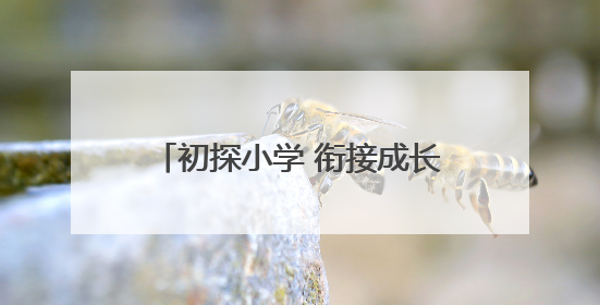 初探小学 衔接成长——青岛淮阳路小学开展幼小衔接活动