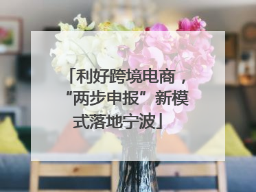 利好跨境电商，“两步申报”新模式落地宁波