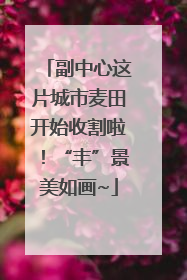 副中心这片城市麦田开始收割啦！“丰”景美如画~