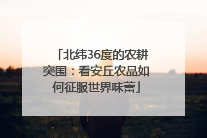 北纬36度的农耕突围：看安丘农品如何征服世界味蕾