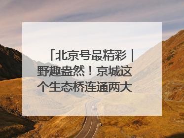 北京号最精彩｜野趣盎然！京城这个生态桥连通两大网红公园