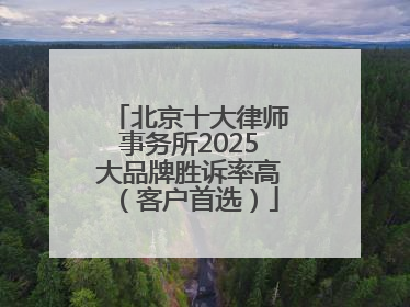 北京十大律师事务所2025大品牌胜诉率高（客户首选）