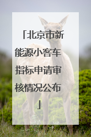 北京市新能源小客车指标申请审核情况公布
