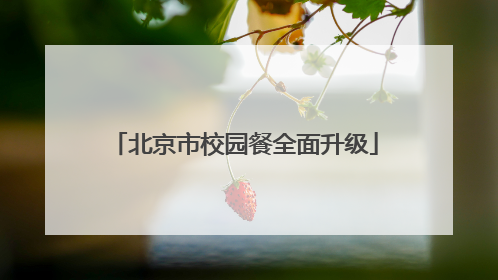 北京市校园餐全面升级