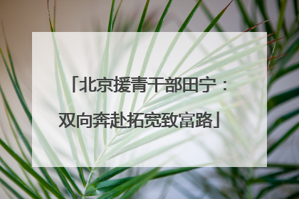 北京援青干部田宁：双向奔赴拓宽致富路