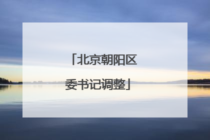 北京朝阳区委书记调整