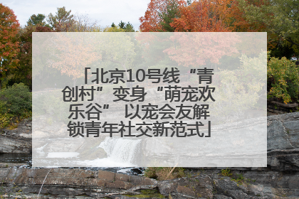 北京10号线“青创村”变身“萌宠欢乐谷” 以宠会友解锁青年社交新范式