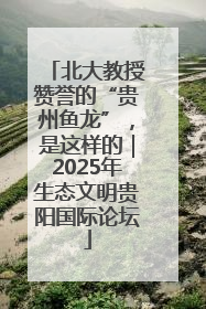 北大教授赞誉的“贵州鱼龙”，是这样的｜2025年生态文明贵阳国际论坛