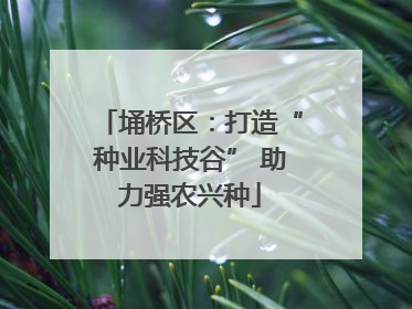埇桥区：打造“种业科技谷” 助力强农兴种