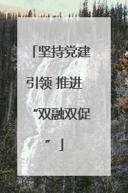 坚持党建引领 推进“双融双促”