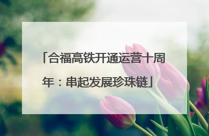 合福高铁开通运营十周年：串起发展珍珠链