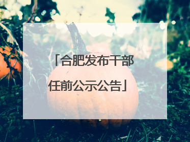 合肥发布干部任前公示公告