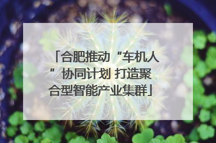 合肥推动“车机人”协同计划 打造聚合型智能产业集群