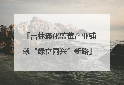 吉林通化蓝莓产业铺就“绿富同兴”新路