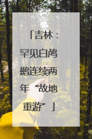 吉林：罕见白鸬鹚连续两年“故地重游”