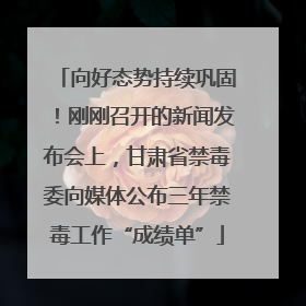 向好态势持续巩固！刚刚召开的新闻发布会上，甘肃省禁毒委向媒体公布三年禁毒工作“成绩单”