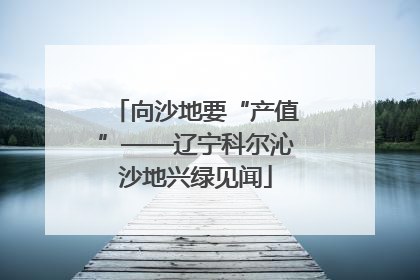 向沙地要“产值”——辽宁科尔沁沙地兴绿见闻