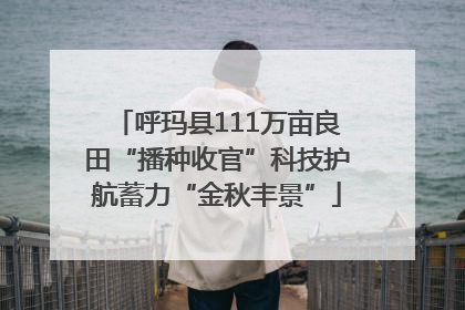 呼玛县111万亩良田“播种收官”科技护航蓄力“金秋丰景”