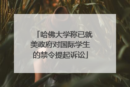 哈佛大学称已就美政府对国际学生的禁令提起诉讼