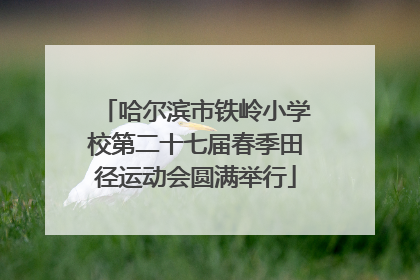 哈尔滨市铁岭小学校第二十七届春季田径运动会圆满举行