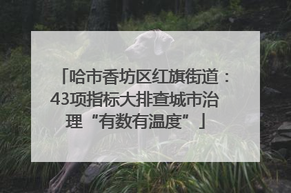 哈市香坊区红旗街道：43项指标大排查城市治理“有数有温度”