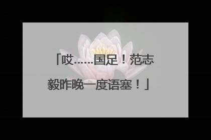 哎……国足！范志毅昨晚一度语塞！