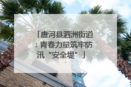 唐河县泗洲街道：青春力量筑牢防汛“安全堤”