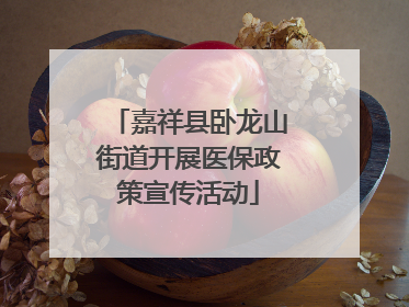 嘉祥县卧龙山街道开展医保政策宣传活动