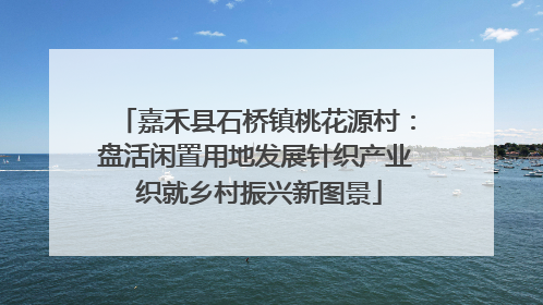 嘉禾县石桥镇桃花源村：盘活闲置用地发展针织产业 织就乡村振兴新图景