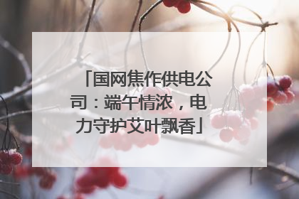 国网焦作供电公司：端午情浓，电力守护艾叶飘香